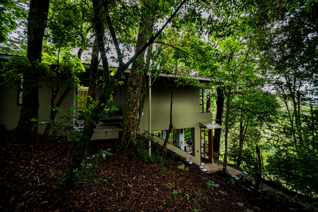Fachada de Casa Ficus rodeada de árboles del bosque nuboso de Monteverde